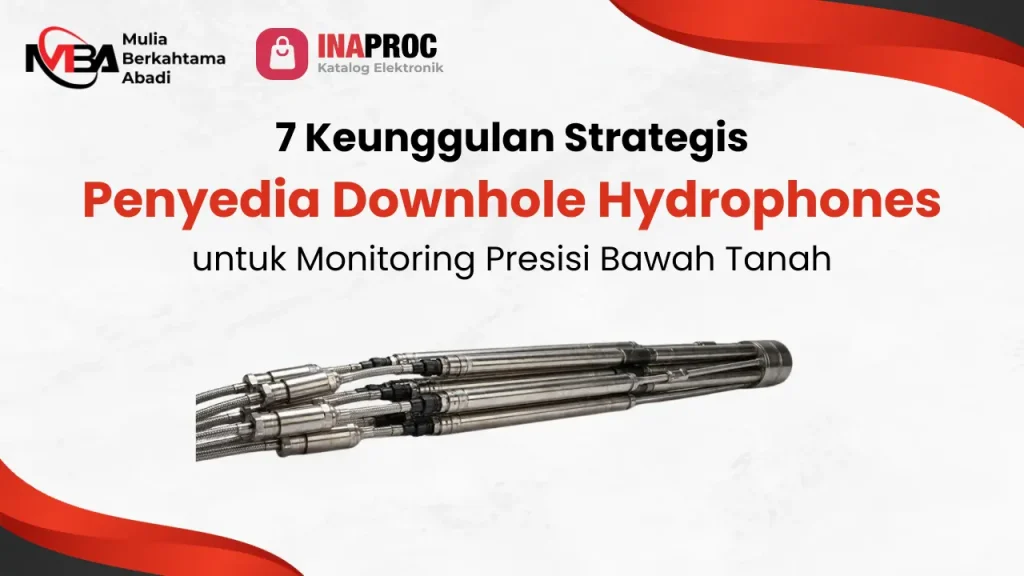 Penyedia Downhole Hydrophones