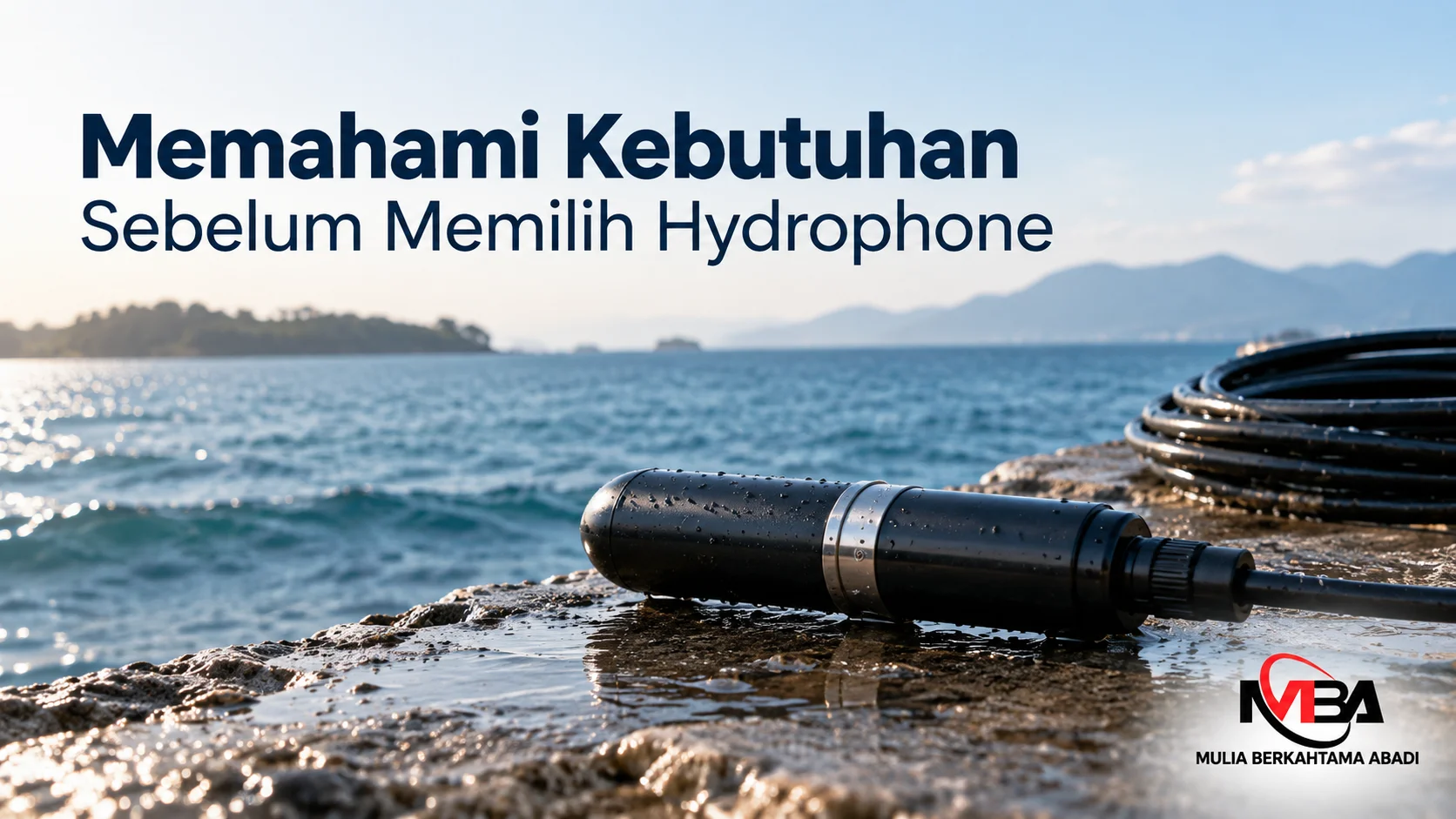 Memahami Kebutuhan Sebelum Memilih Hydrophone dengan produk hydrophone di lingkungan laut